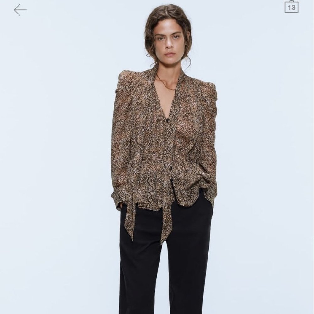 Zara leopard sheer blouse. Xs
